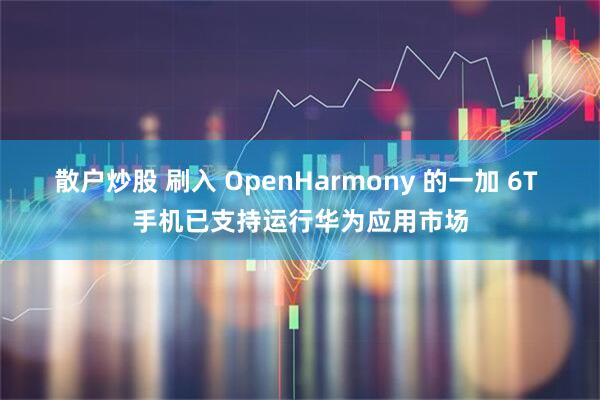 散户炒股 刷入 OpenHarmony 的一加 6T 手机已支持运行华为应用市场
