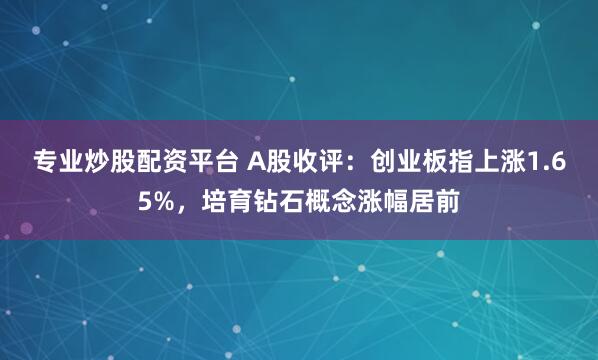 专业炒股配资平台 A股收评：创业板指上涨1.65%，培育钻石概念涨幅居前
