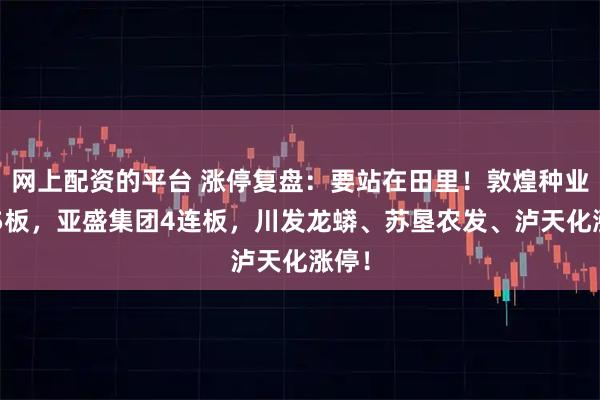 网上配资的平台 涨停复盘：要站在田里！敦煌种业8天5板，亚盛集团4连板，川发龙蟒、苏垦农发、泸天化涨停！