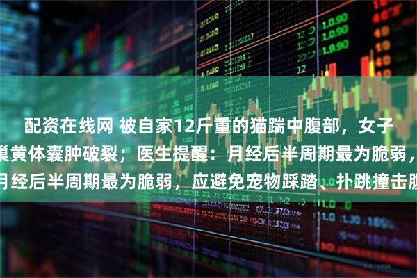 配资在线网 被自家12斤重的猫踹中腹部，女子凌晨送医急救，确诊卵巢黄体囊肿破裂；医生提醒：月经后半周期最为脆弱，应避免宠物踩踏、扑跳撞击腹部